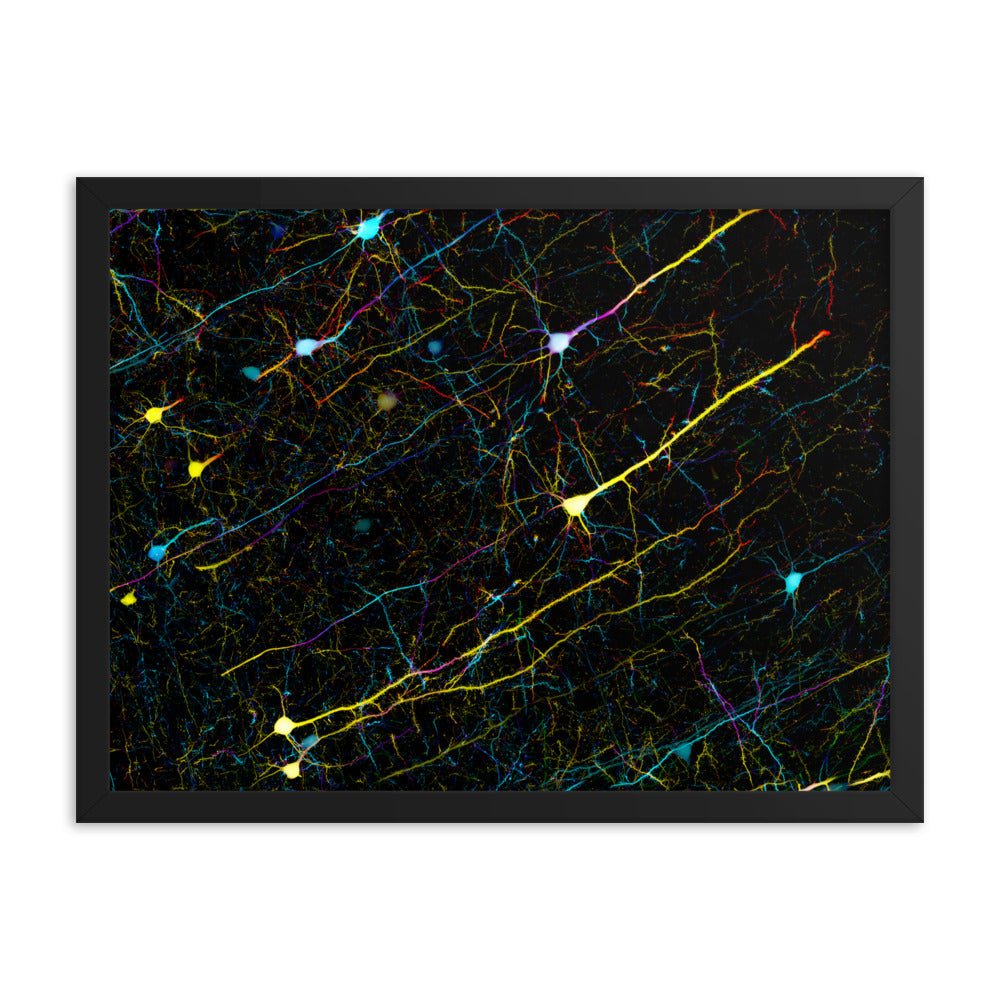 Soutenez la recherche sur le cancer du cerveau