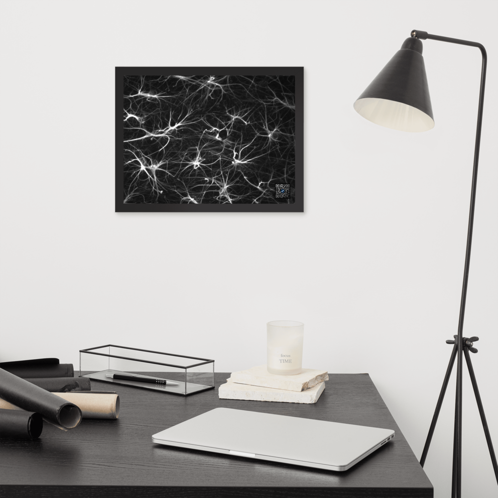 Table - The cells that protect our neurons