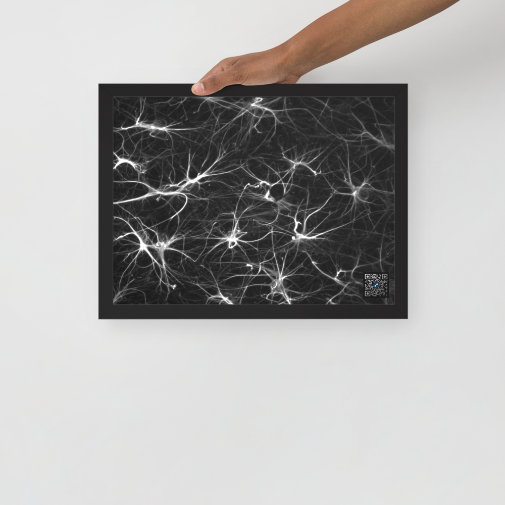 Table - The cells that protect our neurons