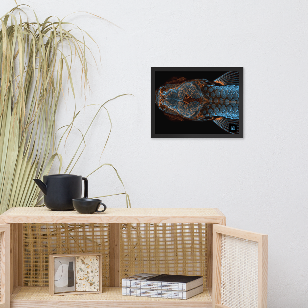Table - The research fish