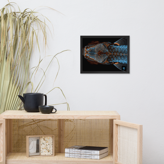 Table - The research fish