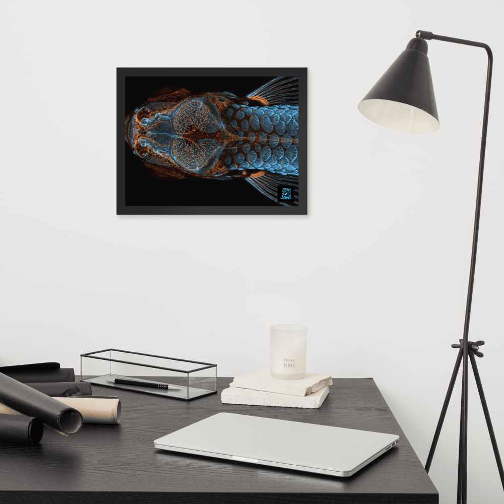 Table - The research fish