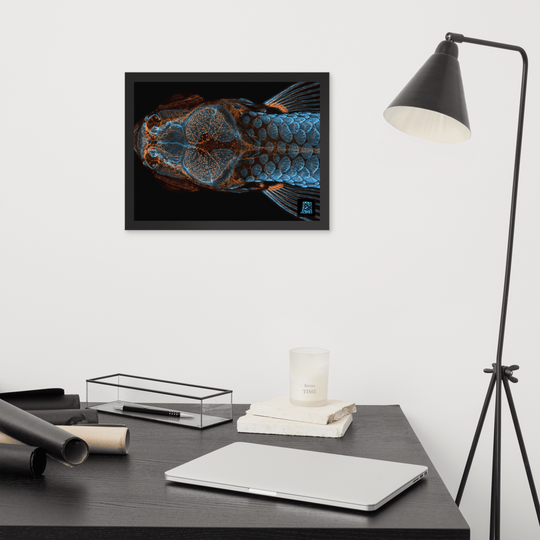 Table - The research fish