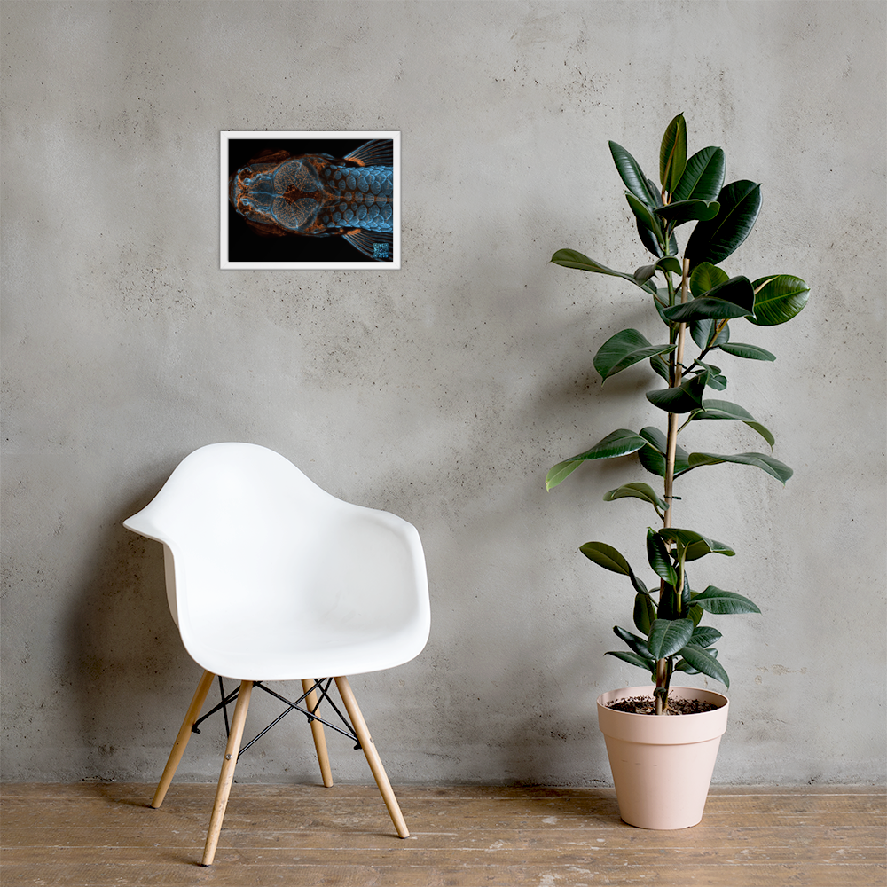 Table - The research fish