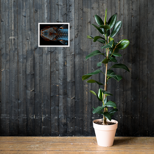 Table - The research fish