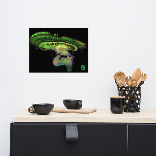 Poster - The Brain of Mantis Shrimp