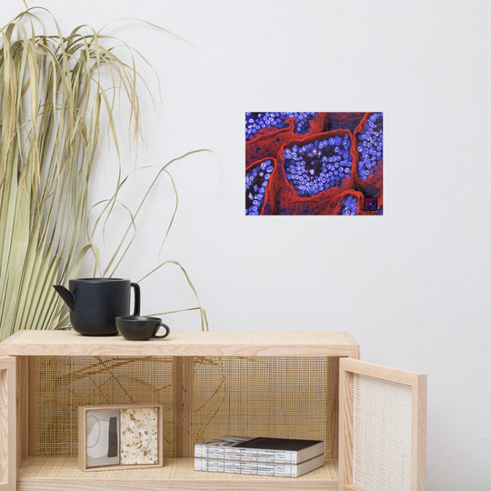 Poster - L'intérieur de l'intestin