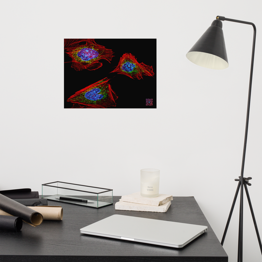 Poster - Skin cells