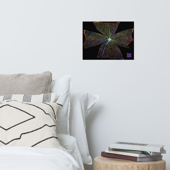 Poster - A view of the retina