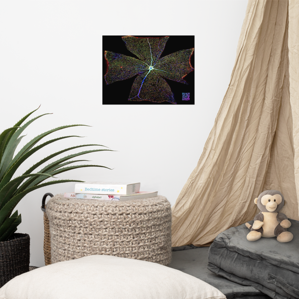 Poster - A view of the retina