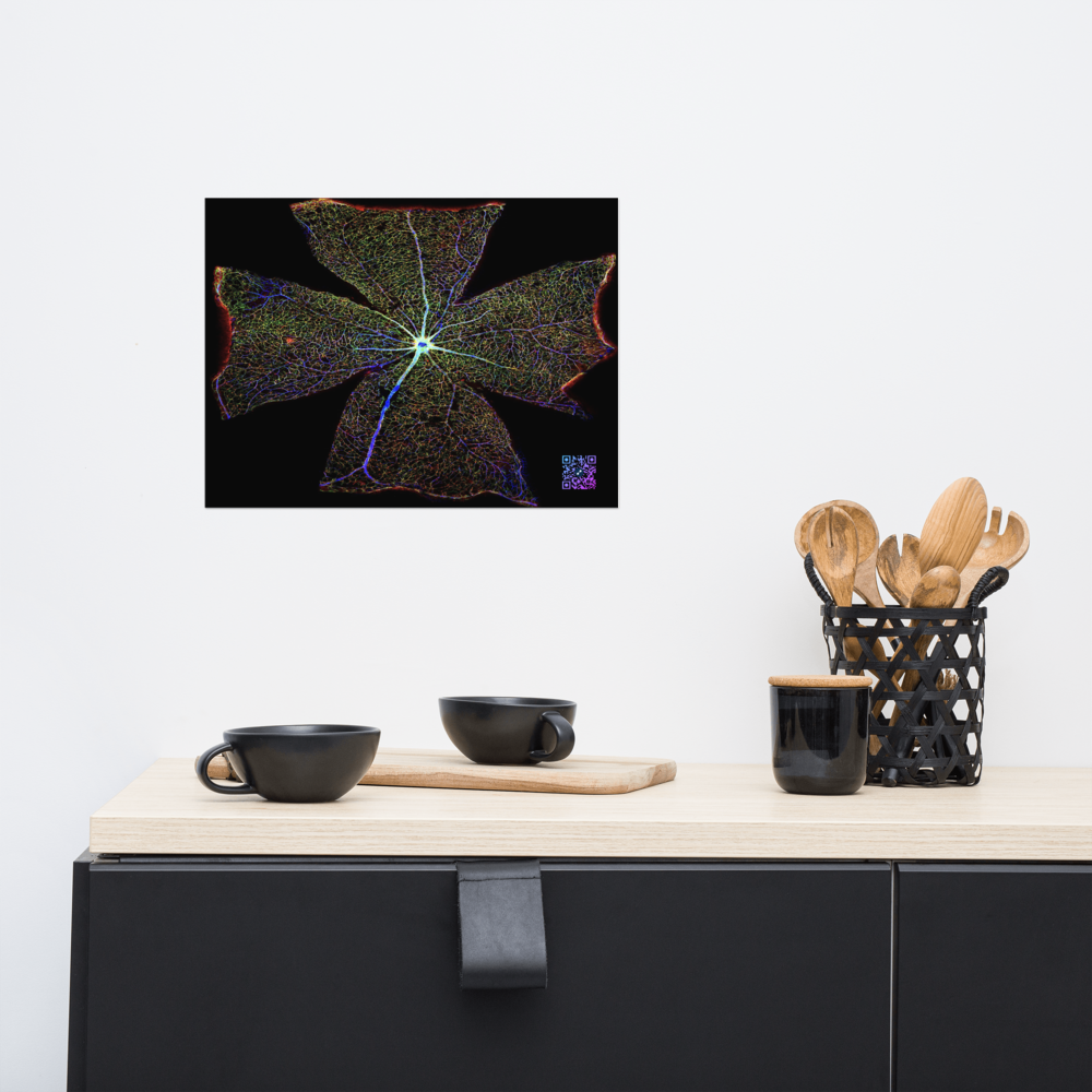 Poster - A view of the retina